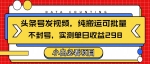 头条发视频，纯搬运可批量，不封号玩法实测单日收益单号298