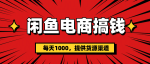 闲鱼电商搞钱，一天1000＋(提供货源）