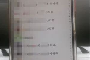 小红书图文引流，全面解析，日引100私域流量是怎样做到的