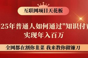 网创项目终点站-镰刀训练营超级IP合伙人，25年普通人如何通过“知识付费”年入百万