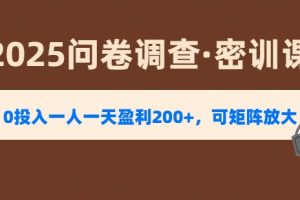 2025《问卷调查》0投入一人一天盈利200+，可矩阵放大