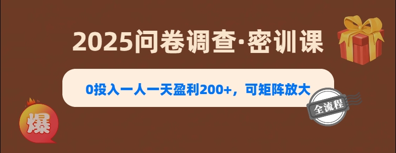 2025《问卷调查》0投入一人一天盈利200+，可矩阵放大插图