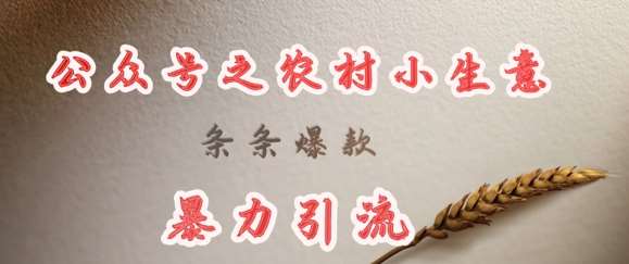 deepseek写农村小项目，条条爆款，暴力引流插图