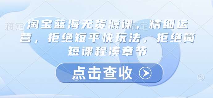 淘宝蓝海无货源课，精细运营，拒绝短平快玩法，拒绝简短课程凑章节插图