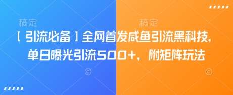 【引流必备】全网首发咸鱼引流黑科技，单日曝光引流500+，附矩阵玩法【揭秘】插图