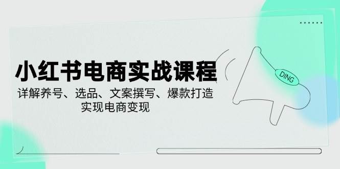 （14549期）小红书电商实战课程，详解养号、选品、文案撰写、爆款打造，实现电商变现插图