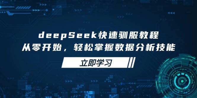 （14536期）deepSeek快速驯服教程，从零开始，轻松掌握数据分析技能插图