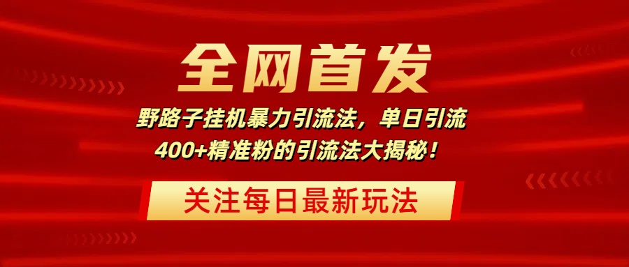 全网首发，野路子挂机暴力引流法，单日引流400+精准粉的引流法大揭秘！插图