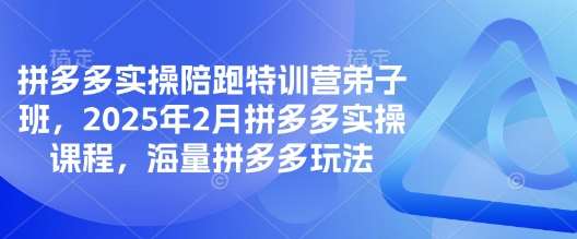 拼多多实操陪跑特训营弟子班，2025年2月拼多多实操课程，海量拼多多玩法插图